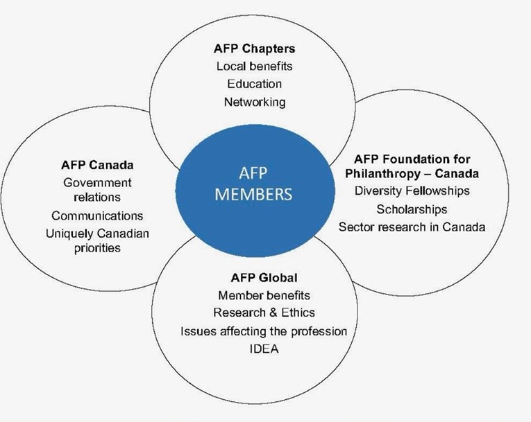 AFP IDEA Chart
